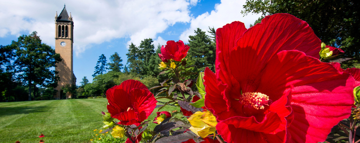 Flowers on campus